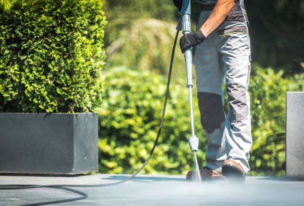Best Pre-Holiday Cleaning  in Detroit, MI